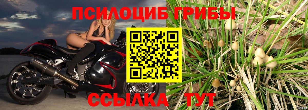 Псилоцибиновые грибы GOLDEN TEACHER  Вход с VPN  Псилоцибиновые грибы прущие грибы  Каменск-Уральский 
