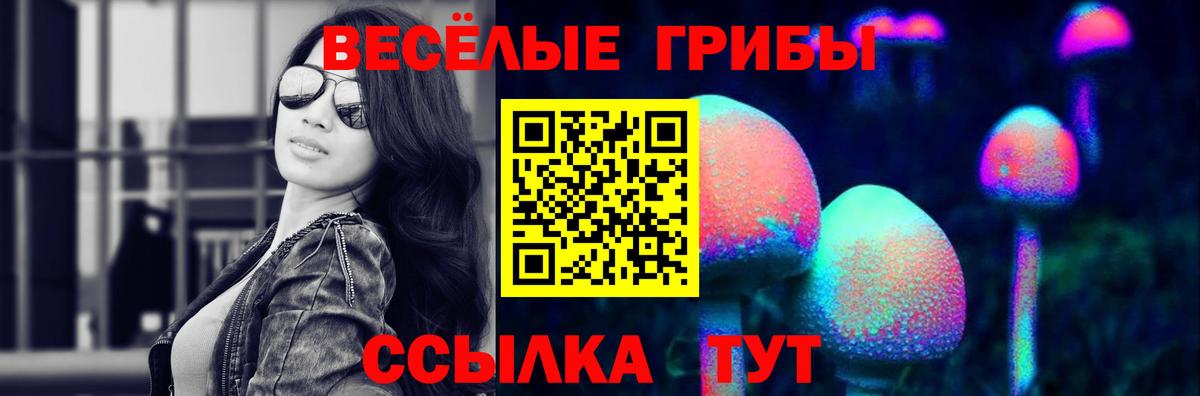 Галлюциногенные грибы MAGIC MUSHROOMS Каменск-Уральский