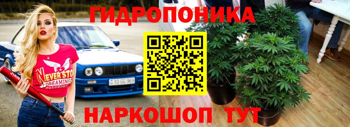 Бошки Шишки LSD WEED  Конопля марихуана  Каменск-Уральский  Вход с VPN  Шишки марихуана марихуана 